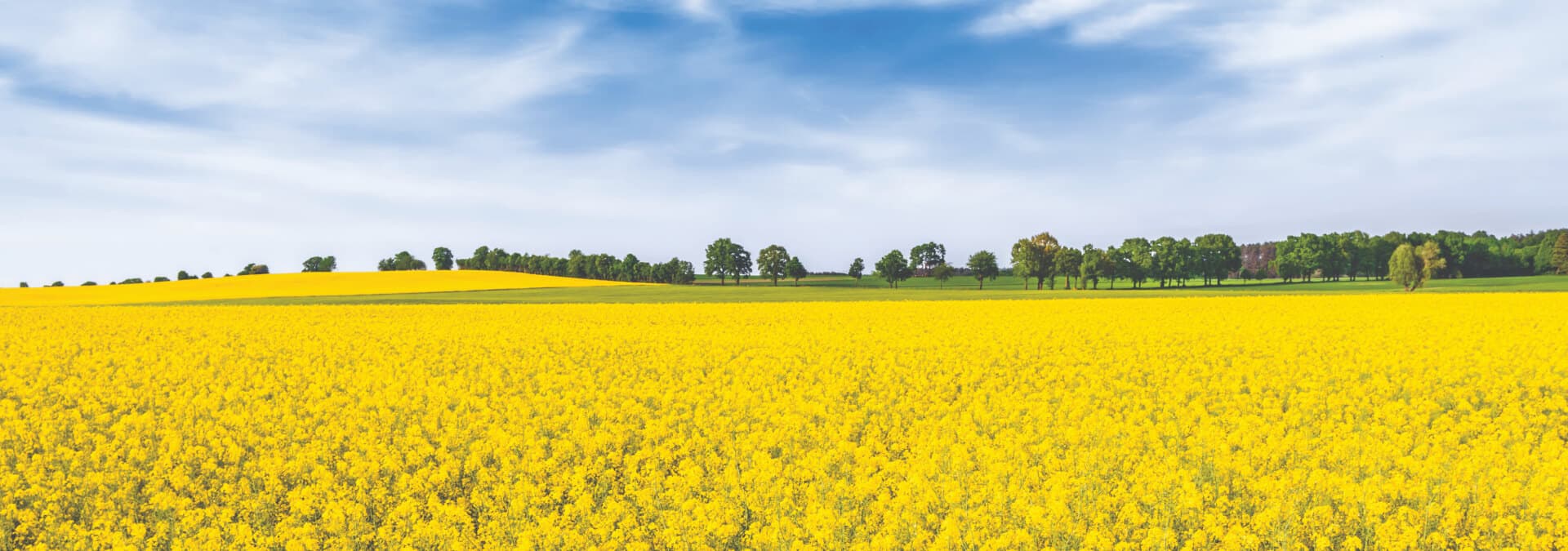 desktop content main hero